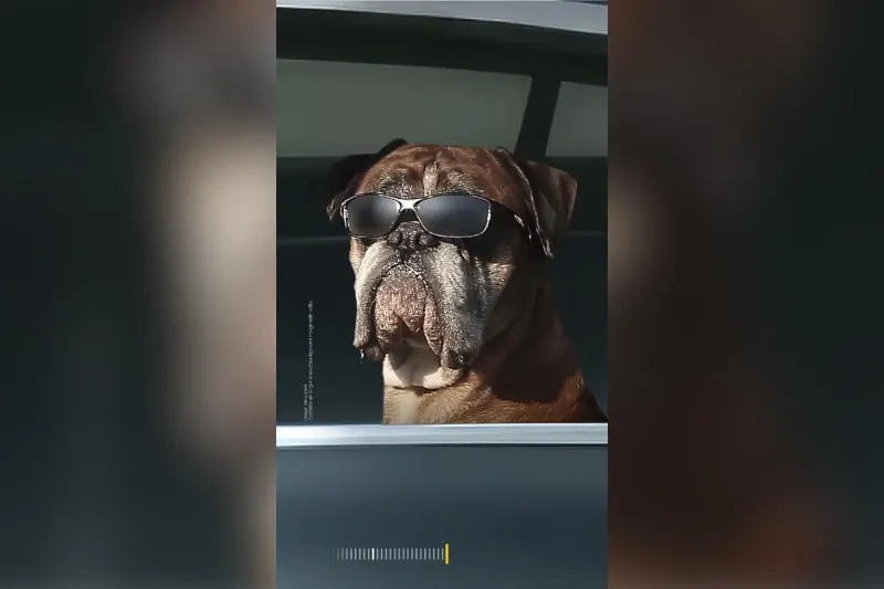 Samsung показала первые тизеры Galaxy S26 — акцент на зум и ночную съёмку